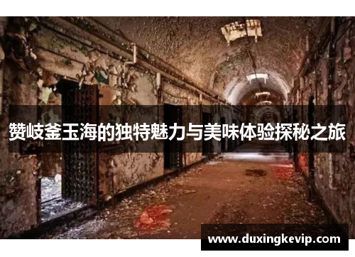赞岐釜玉海的独特魅力与美味体验探秘之旅